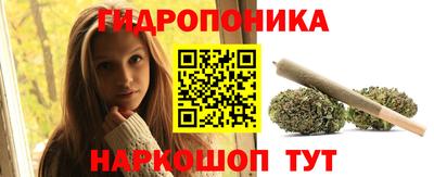 дживик Кимры