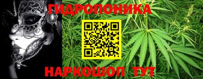 альфа пвп Кингисепп