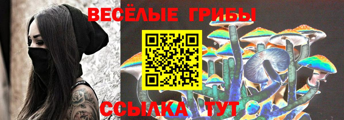 Галлюциногенные грибы Psilocybine cubensis  Вход с VPN  Кудымкар 